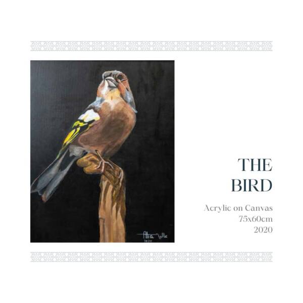 THE BIRD - Image 2