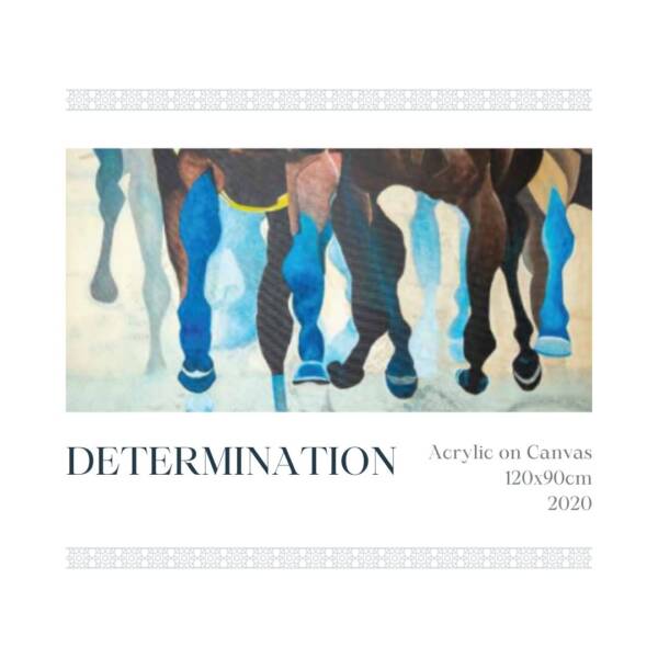 DETERMINATION - Image 2